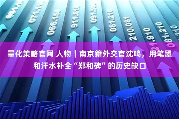 量化策略官网 人物｜南京籍外交官沈鸣，用笔墨和汗水补全“郑和碑”的历史缺口