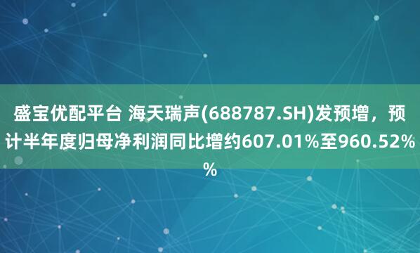 盛宝优配平台 海天瑞声(688787.SH)发预增，预计半年度归母净利润同比增约607.01%至960.52%