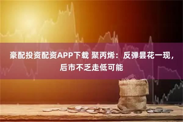 豪配投资配资APP下载 聚丙烯：反弹昙花一现，后市不乏走低可能