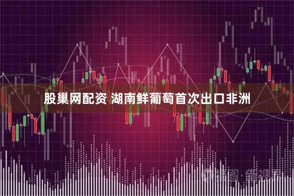 股巢网配资 湖南鲜葡萄首次出口非洲